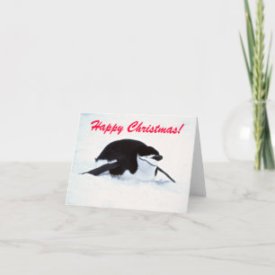 Jul Snö Penguin Hälsning-kort Helgkort