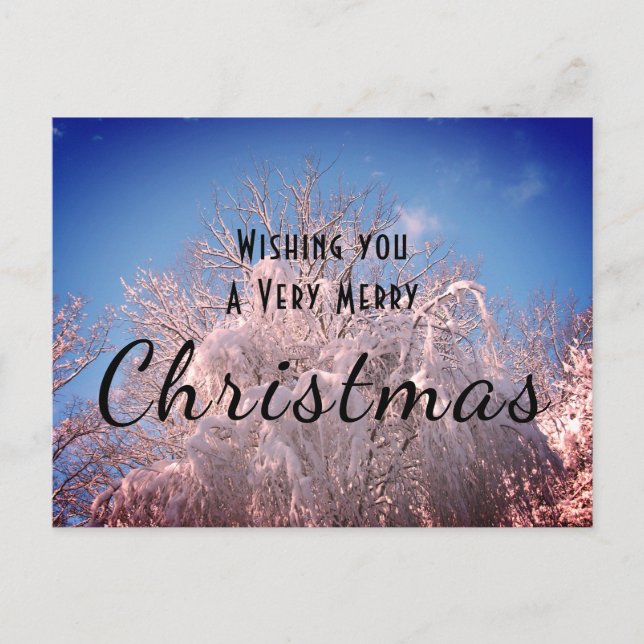 Jul Snö Träd! Vykort (Framsida)