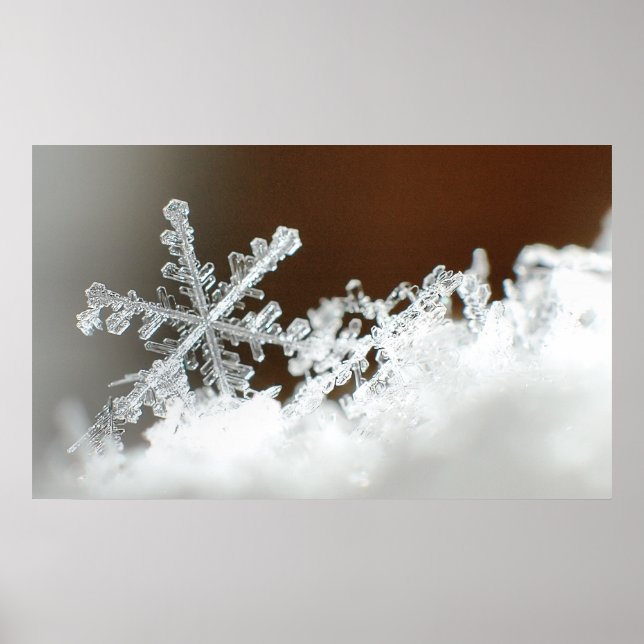 Jul Snöstorm 2009 Poster (Framsidan)