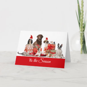 Jul Söt Gifts Santa Hundar och Cat Helgkort