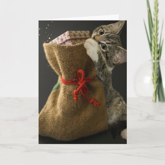 JUL SÖT KATT ÖVERRASKNINGAR Grattiskort Kort (Framsida)
