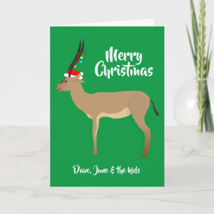 Jul Springbok Helgkort