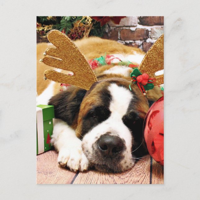 Jul - St Bernard - blått Helg Vykort (Framsida)