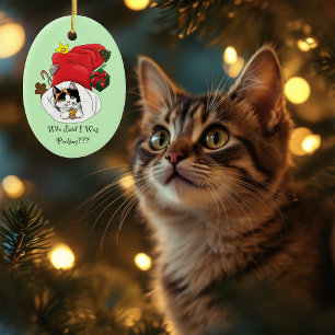 Jul Stocking Cute Calico Kitten Julgransprydnad Keramik