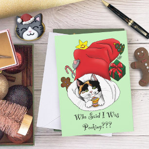 Jul Stocking Cute Calico Kitten Kort