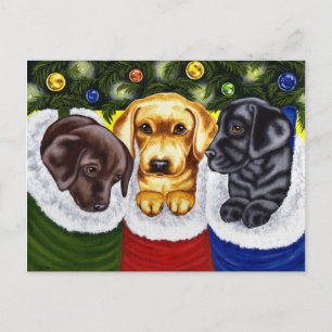 Jul Surprise Labrador Puppies Helg Vykort