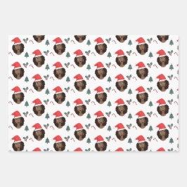 Jul, svarta kvinnor med Red Santa Hats