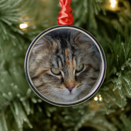 Jul Tabby katt Porträtt Ornament