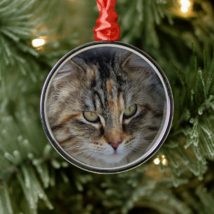 Jul Tabby Katt Porträtt Ornament