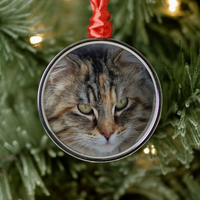 Jul Tabby katt Porträtt Ornament (Träd)