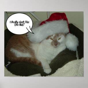 Jul Tabby katt Poster
