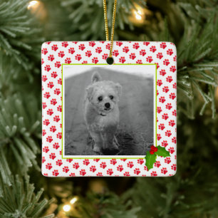 Jul Tass avtryck PET PHOTO Best Hund All NAMN Julgransprydnad Keramik