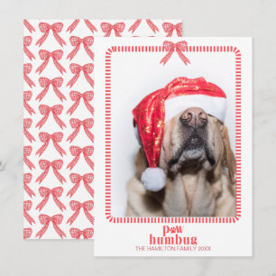 Jul Tass Humbug Pet Photo Coquette Julkort