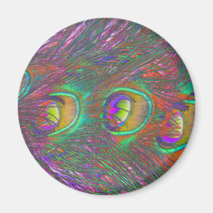 Jul Tinsel Peacock Feathers Magnet