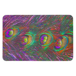 Jul Tinsel Peacock Feathers Magnet