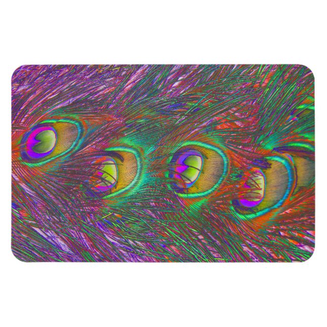 Jul Tinsel Peacock Feathers Magnet (Horisontell)