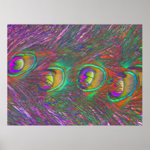 Jul Tinsel Peacock Feathers Poster