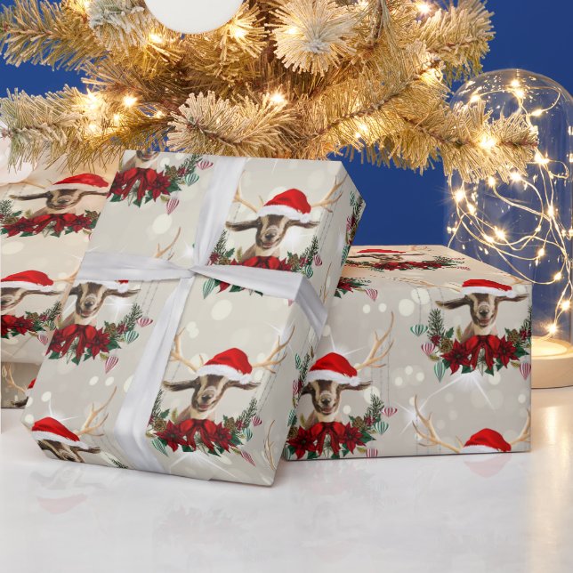 Jul Toggenburg Kid Goat Poinsettia Wandeans Presentpapper (Helgdagar)