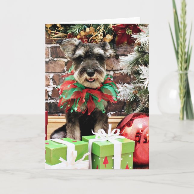 Jul - Tom Dooley - Schnauzer #2 Helgkort (Framsida)