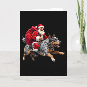 Jul Tomte Australian Cattle Dog Jul Kort