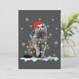 Jul Tomte Katt Brittisk Korthår Kattälskare Julkort