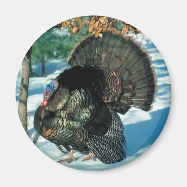 Jul Turkiet Thanksgiving Bird Winter Wildlife Magnet (Framsidan)