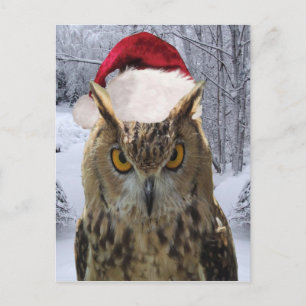 Jul Uggla Bird i Santa Hat Helg Vykort