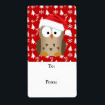 Jul Uggla med Santa Hat Fraktsedel<br><div class="desc">Den här söta lilla killen är allt redo att ha lite roligt för djurfåglar. En tecknad brun uggla med röd och vit hatt och mönster med bakgrunden för upphetsningsmassor.</div>