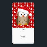 Jul Uggla med Santa Hat Fraktsedel<br><div class="desc">Den här söta lilla killen är allt redo att ha lite roligt för djurfåglar. En tecknad brun uggla med röd och vit hatt och mönster med bakgrunden för upphetsningsmassor.</div>