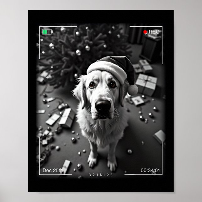 Jul - Underbara Pyrenéerna fångade på kameran Poster (Framsidan)