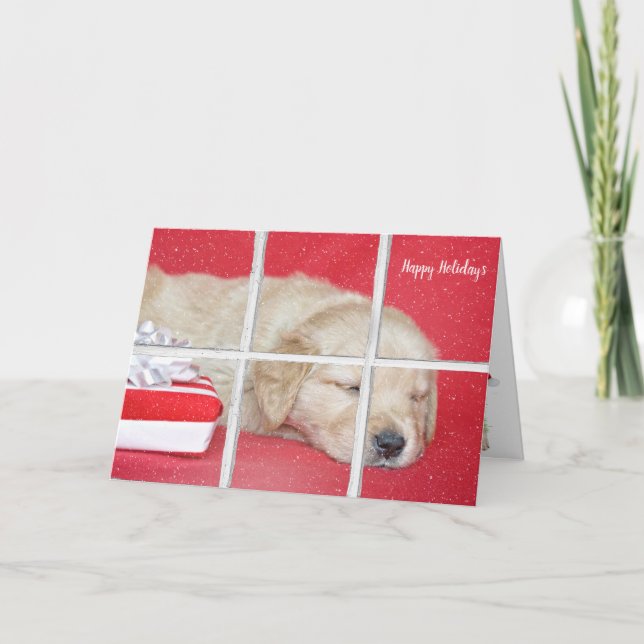 Jul - Valpen Golden Retriever i fönster Helgkort (Framsida)