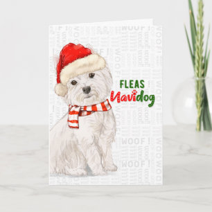 Jul Väster Highland Terrier Fleas NaviDOG Helgkort