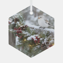 Jul Vinter Snösparv