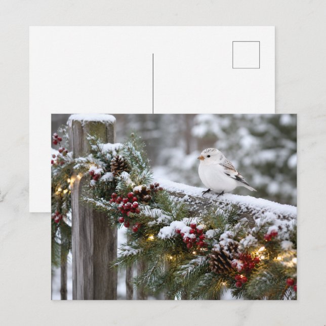 Jul Vinter Snösparv  Vykort (Fram/baksida)