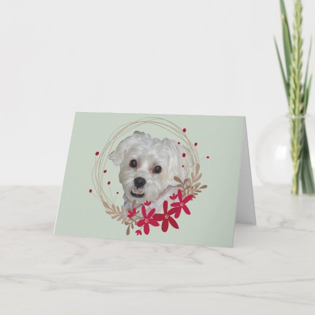 Jul, vit Hund från Pet Helgkort (Framsida)