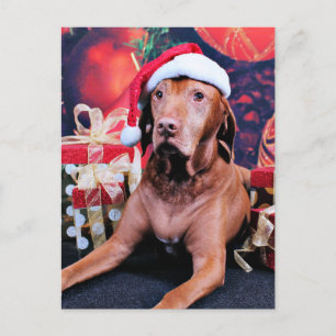 Jul - Vizsla - Budda Helg Vykort