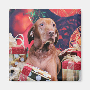 Jul - Vizsla - Budda Magnet