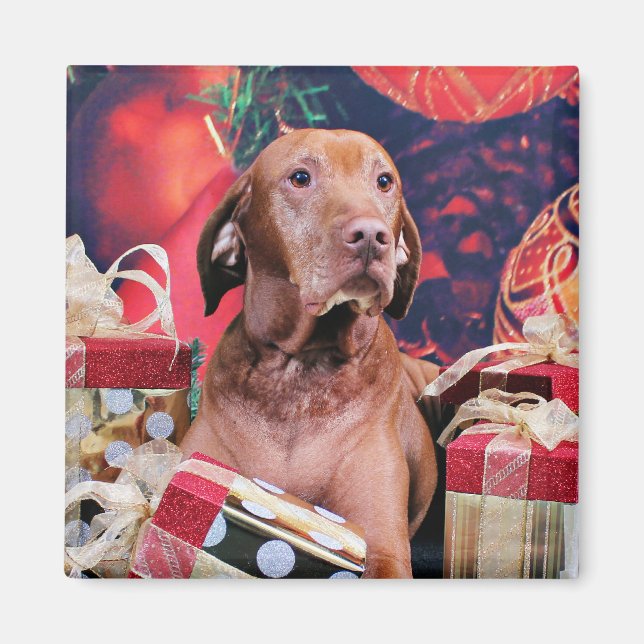 Jul - Vizsla - Budda Magnet (Framsidan)