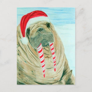 Jul Walrus Helg Vykort
