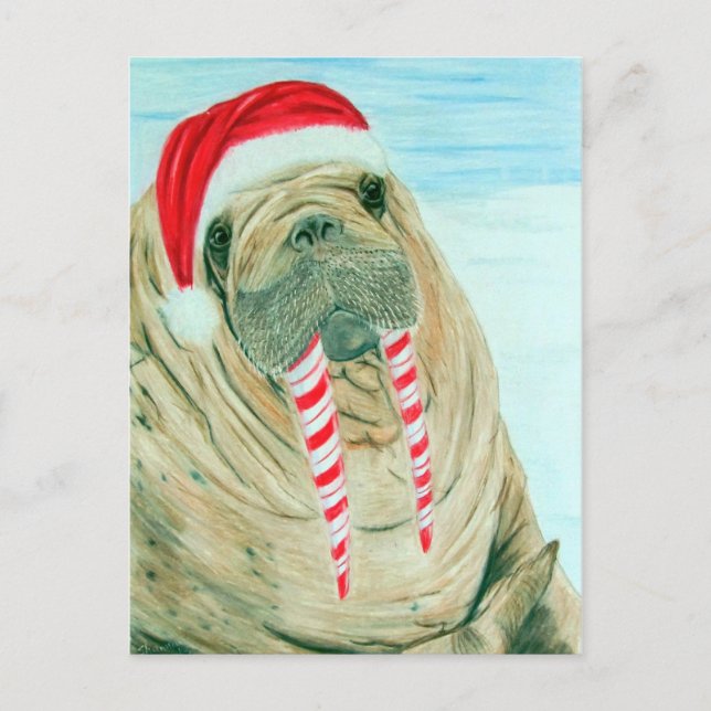 Jul Walrus Helg Vykort (Framsida)