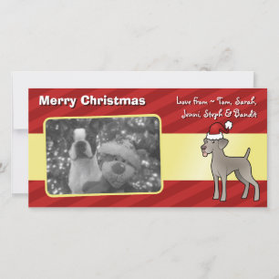 jul Weimaraner Julkort
