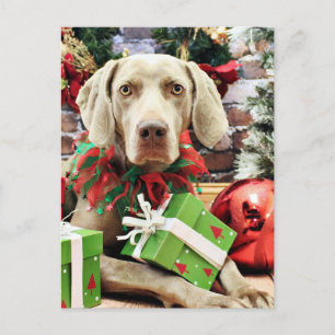 Jul - Weimaraner - Lucy Helg Vykort