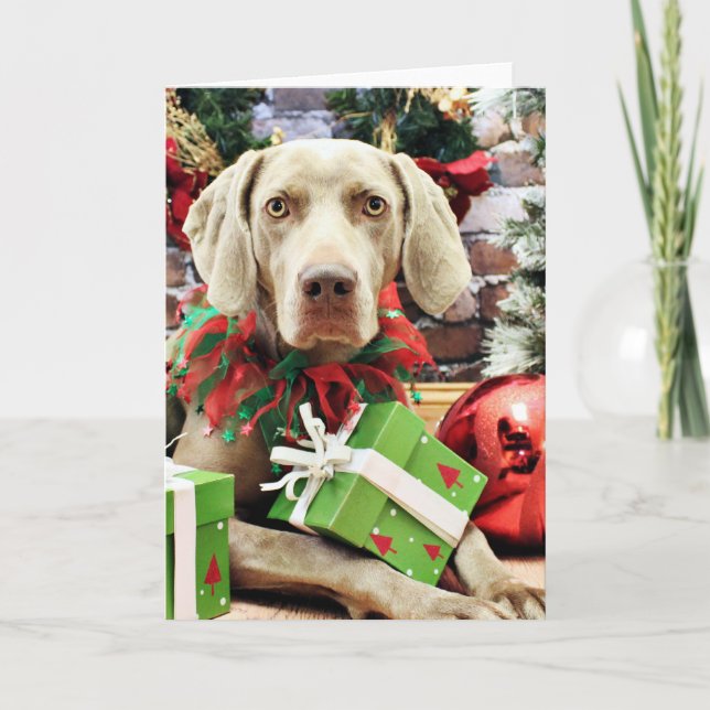 Jul - Weimaraner - Lucy Helgkort (Framsida)