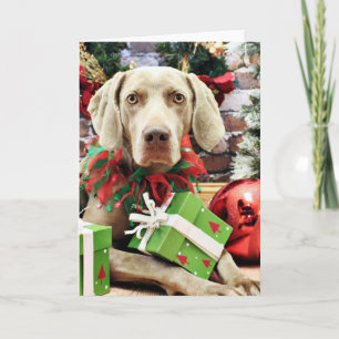 Jul - Weimaraner - Lucy Helgkort