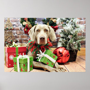 Jul - Weimaraner - Lucy Poster