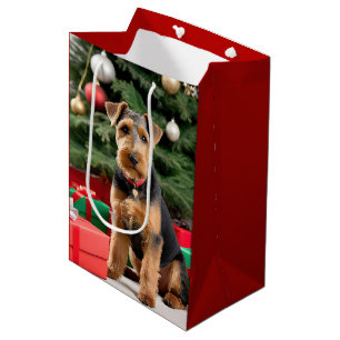 Jul Welsh Terrier från Träd