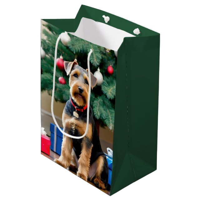Jul-Welsh Terrier Vid Trädet (Framsidan Vinklad)