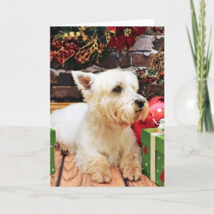 Jul - Westie - Callie Helgkort