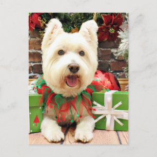 Jul - Westie - Lucky Helg Vykort