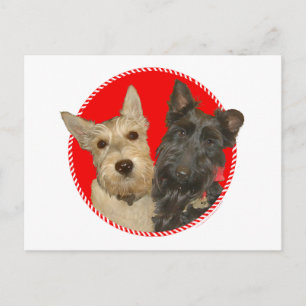 Jul Wheaten & Black Scotties Helg Vykort